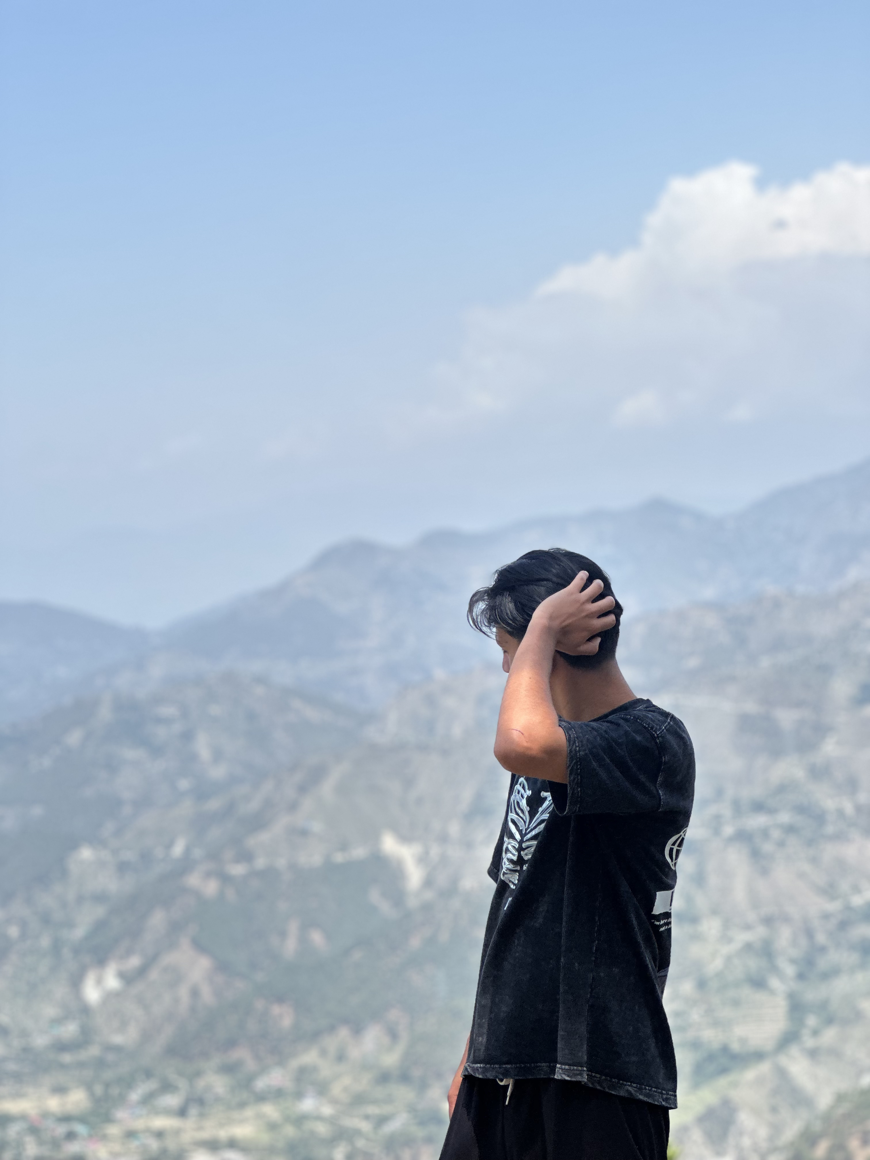 christmas elf looking dog